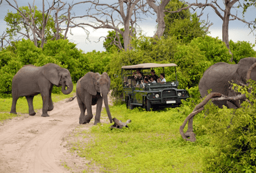 South Africa